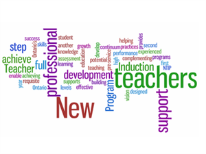 picture of mentoring words 